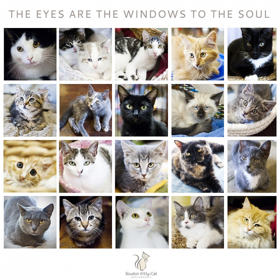 TheEyesAreTheWindowsToTheSoul