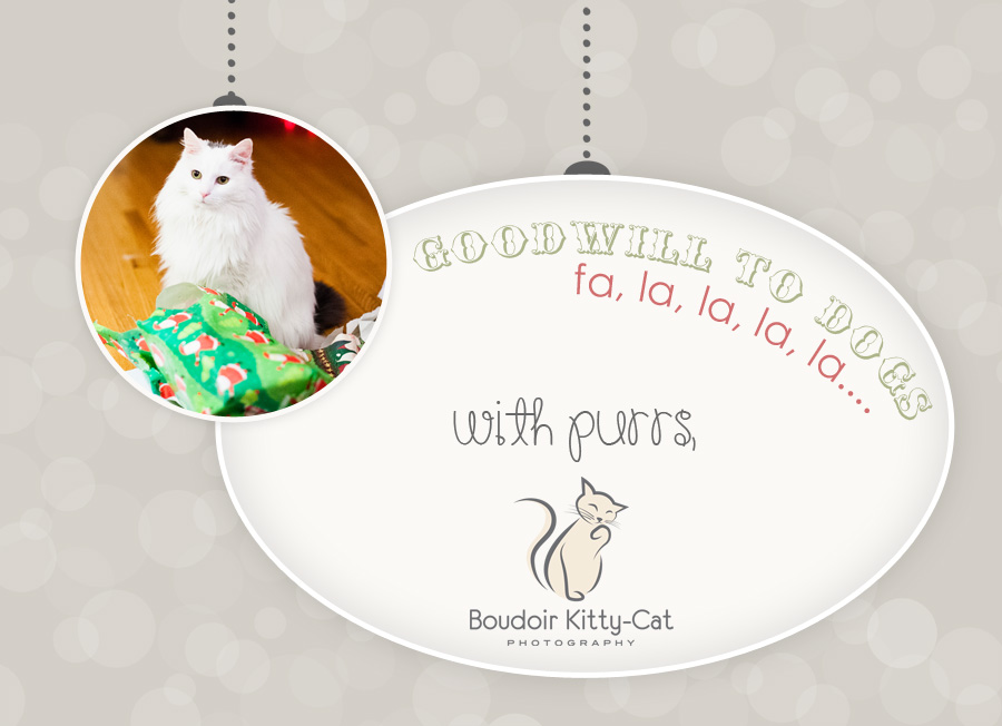 BoudoirKittyCatCreativeChristmasCard1b