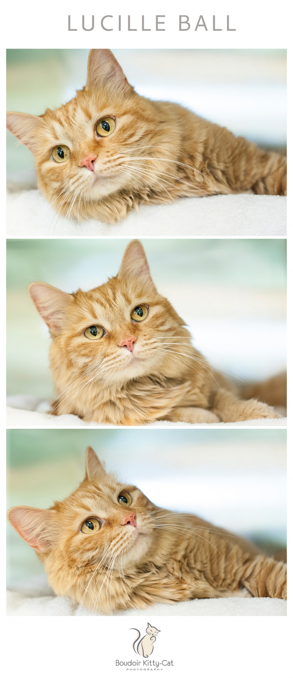 BoudoirKittyCatAdoptionPortrait LucilleBall-002