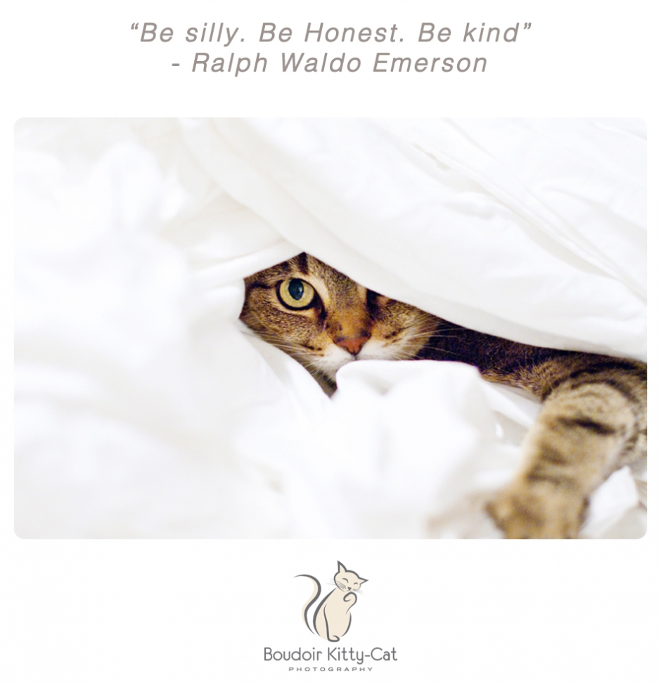 Boudoir Kitty-Cat Photography Presents The Inspired Cat Day-004