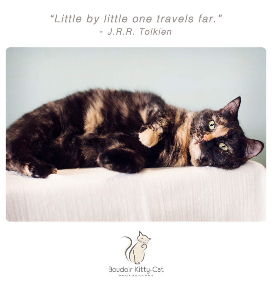 Boudoir Kitty-Cat Photography Presents The Inspired Cat Day-010