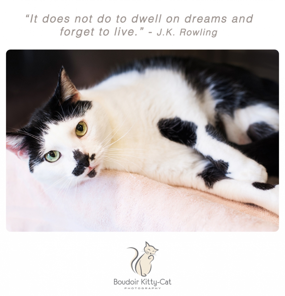 Boudoir Kitty-Cat Photography Presents The Inspired Cat Day-020