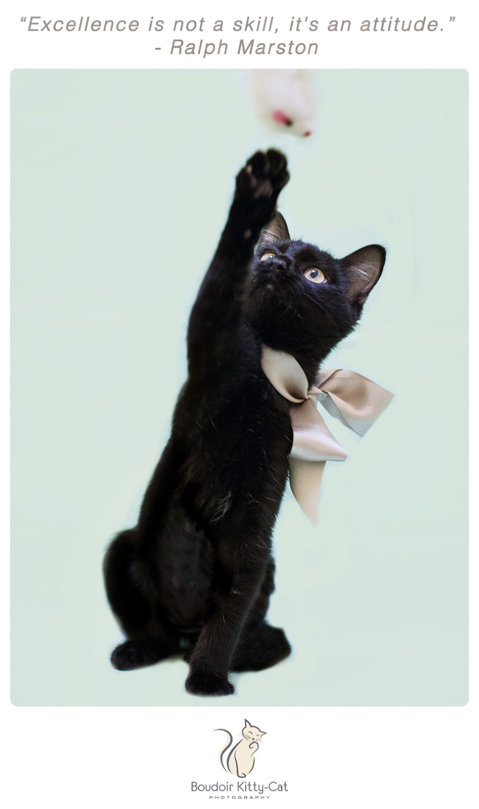 Photo of a black kitten playing with a mouse cat toy