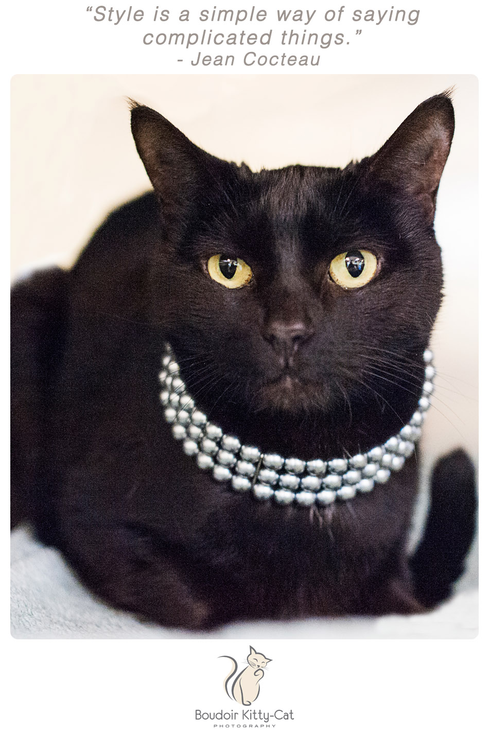 Photo of a black cat wearing a pearl necklace