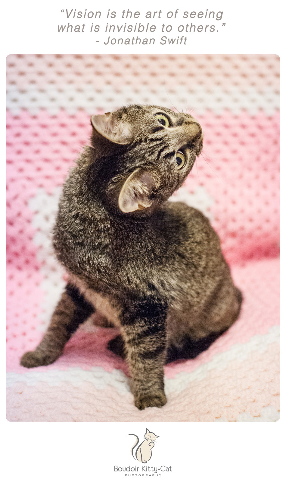 Photo of a tabby cat in a contorted position