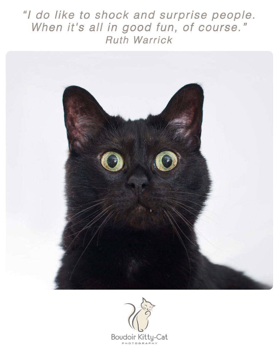 Photo of a black cat looking surprised