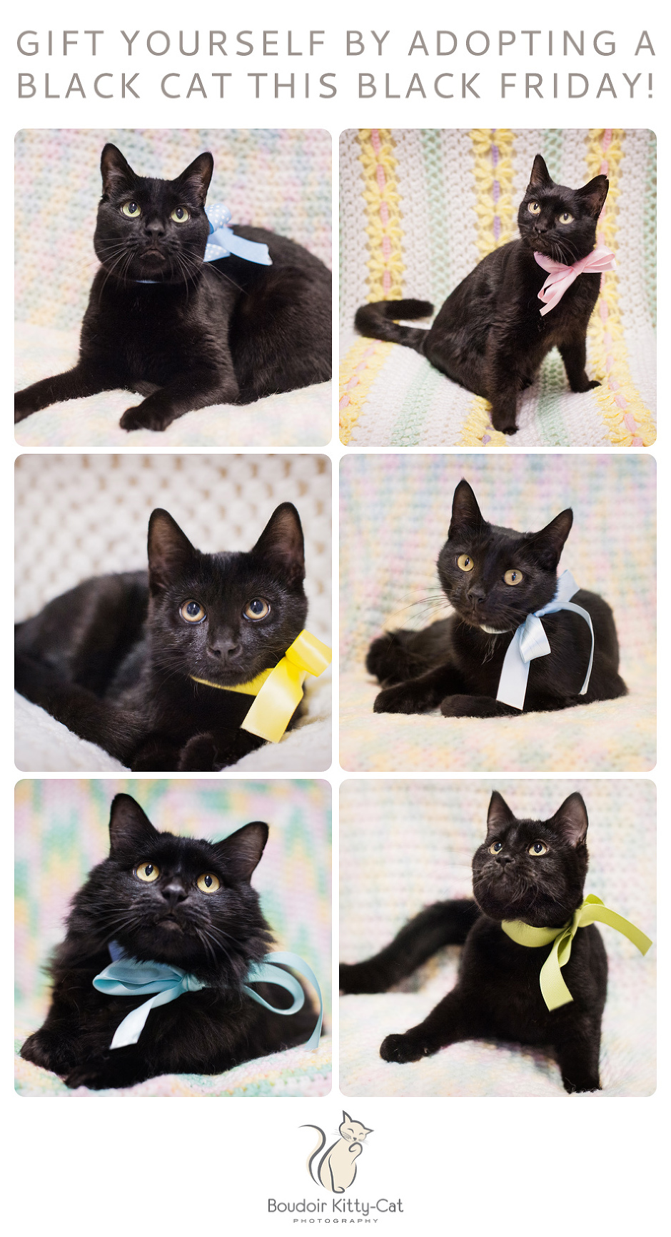 Photos of black cats wearing ribbons